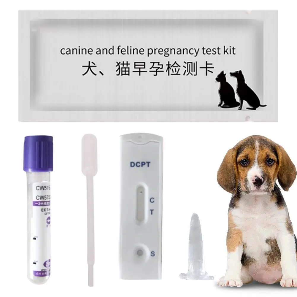Карта на тест за бременност за кучета, комплект тест-ленти за ранната бременност за кучета и котки, метод на серума на кръвта за домашни кучета и котки Булдог